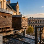 Deux ruches installées sur le toit du palais de justice de Nîmes